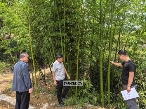 沂源审计守护绿水青山 筑牢生态安全屏障