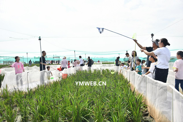 临沂册山“稻香蛙鸣美食音乐季”盛大启幕