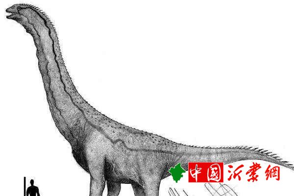 赣南龙中国江西出土的巨龙类诞生于7000万年前