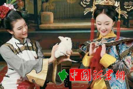 杨芷是什么人？她为什么要向自己的儿媳磕头称妾