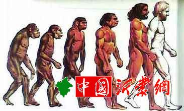 “无主DNA”猜想地球或有第三种已灭绝原始人