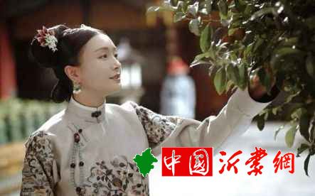 她只是乾隆的&ldquo试婚&rdquo宫女，乾隆70岁还曾怀念她