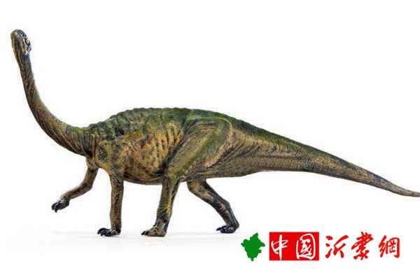 禄丰龙亚洲出土的唯一板龙科恐龙化石体长6米