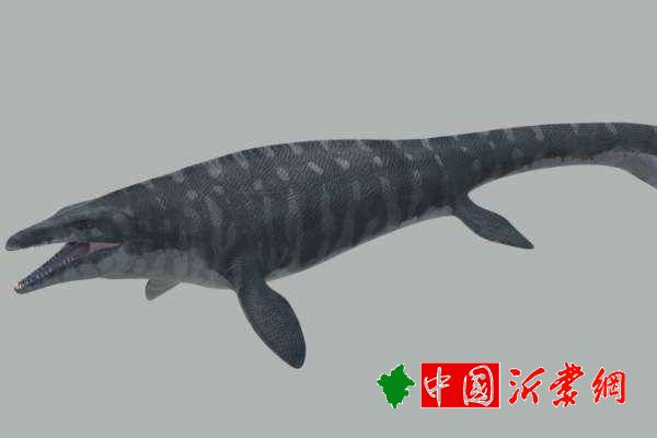 霍夫曼沧龙沧龙科最大的物种最长19米俄罗斯出土