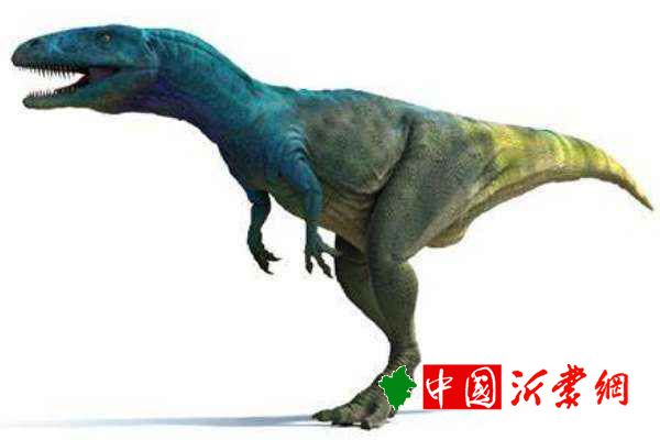 中型食肉恐龙迪布勒伊洛龙 活于1.67亿年前仅发现颅骨